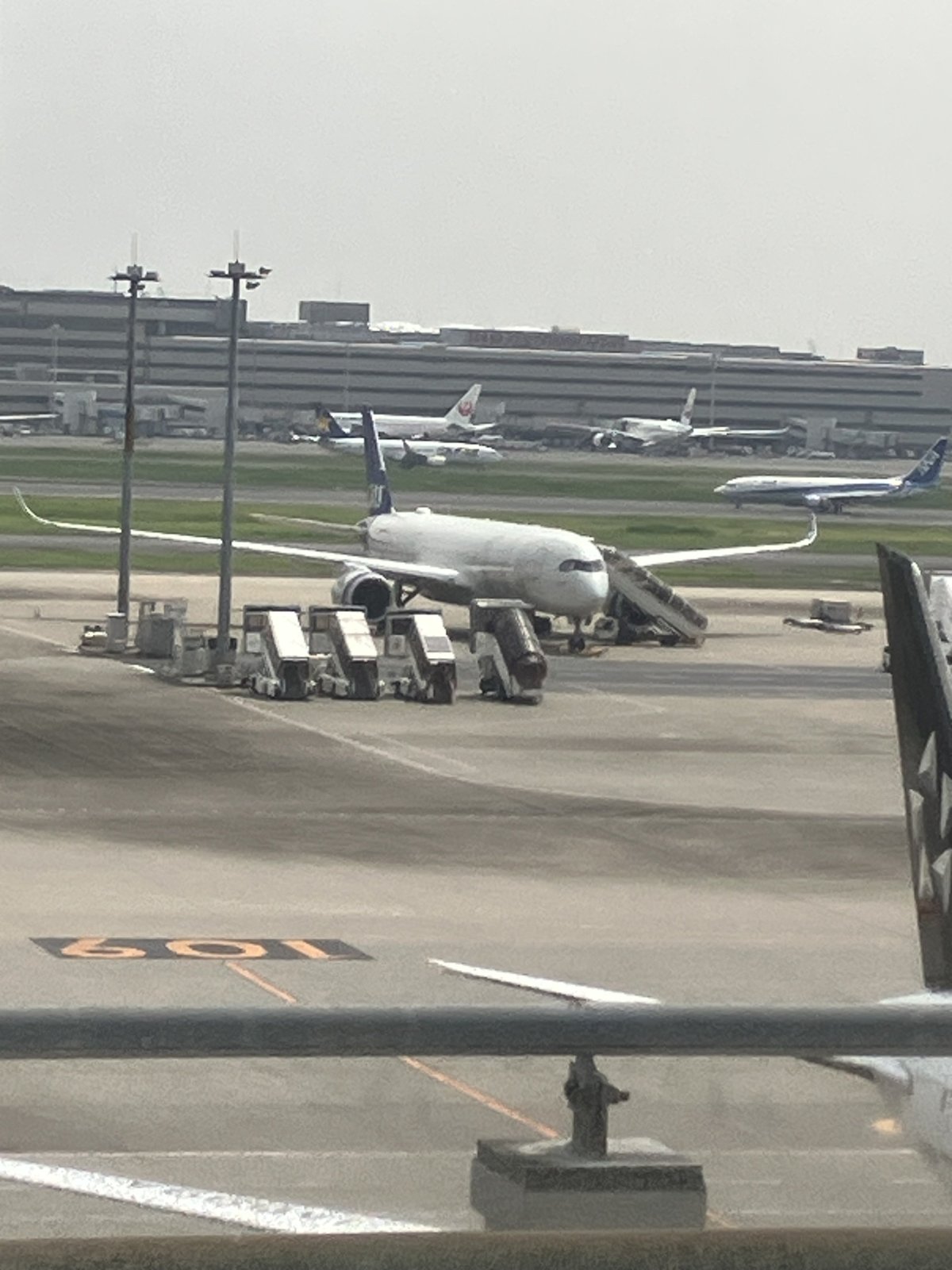 IMG_1352.jpeg