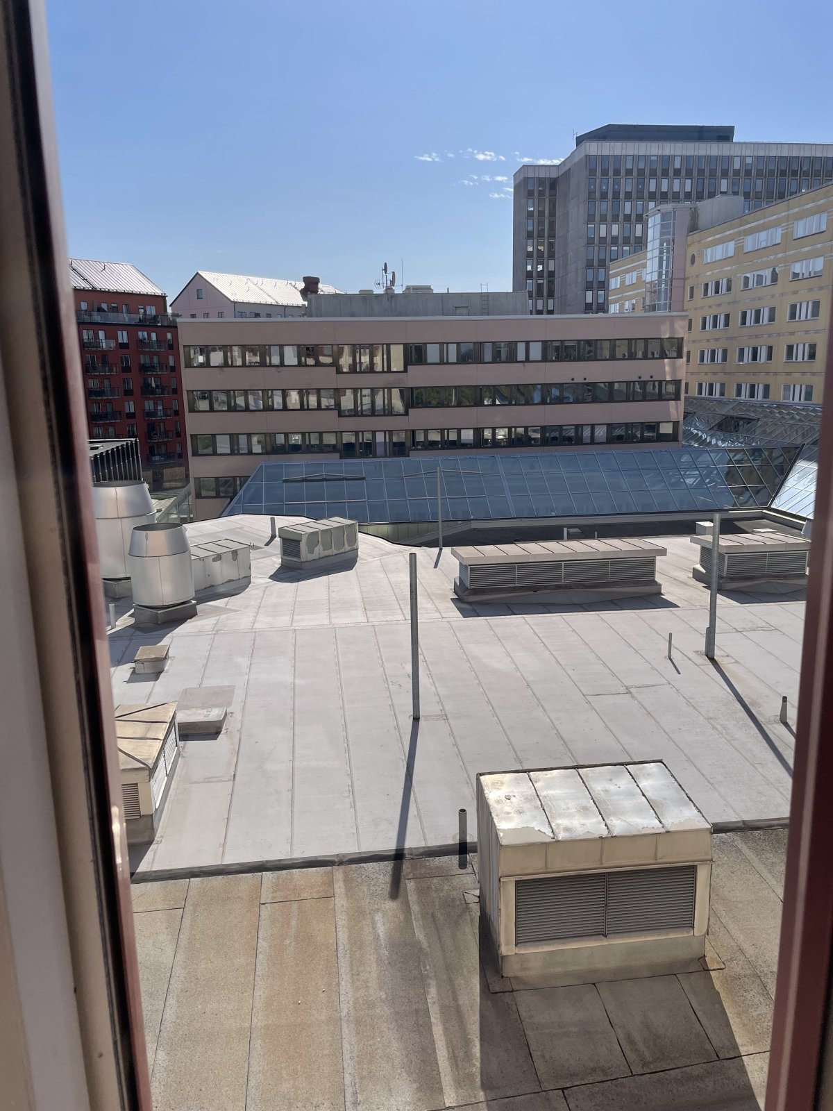 IMG_7723.jpeg