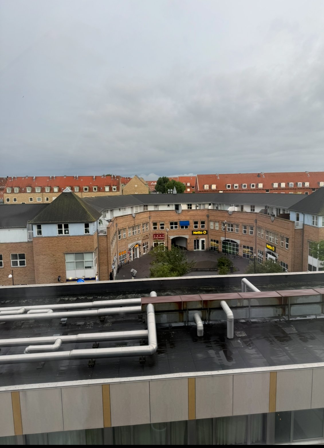IMG_0989.jpeg