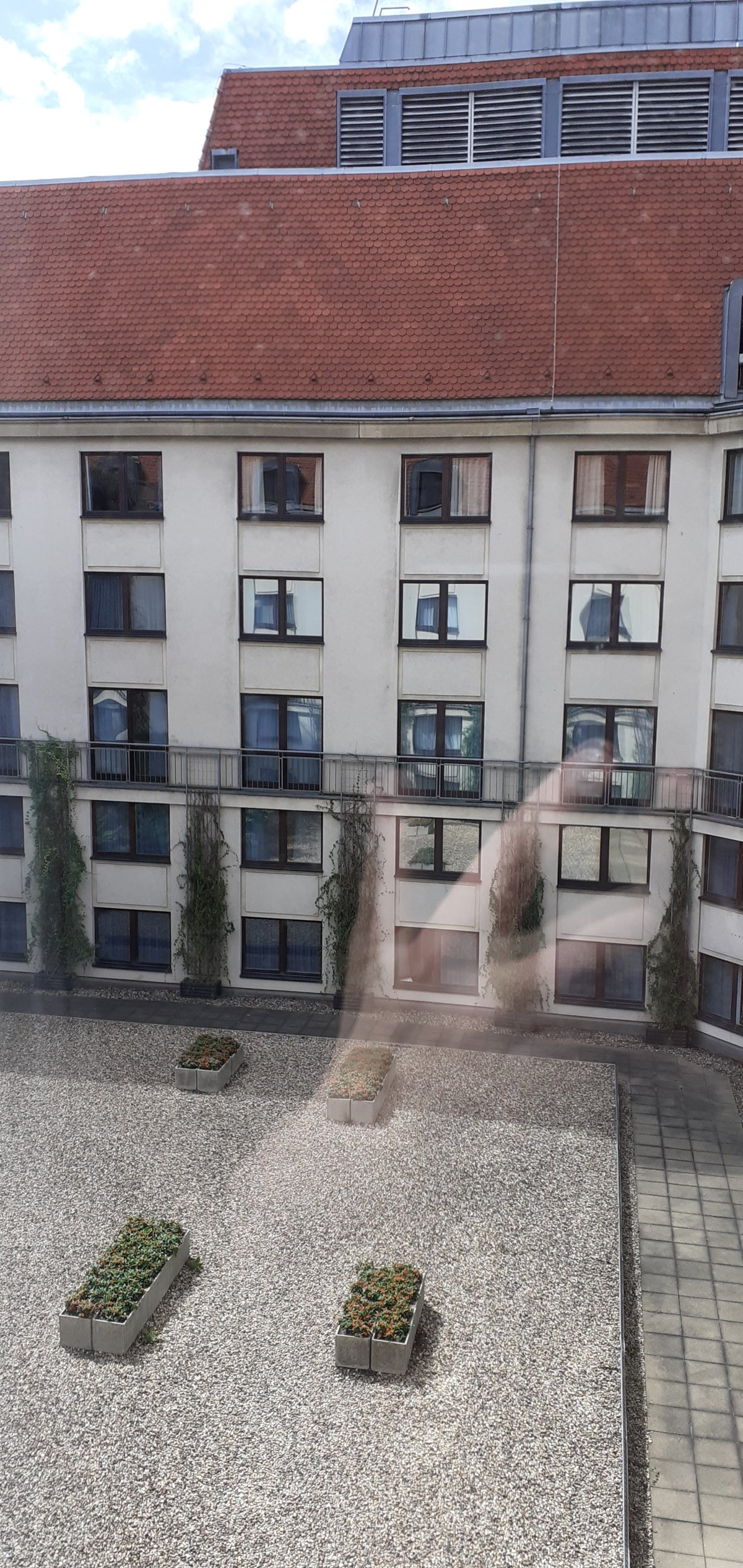 20250729_142949.jpg