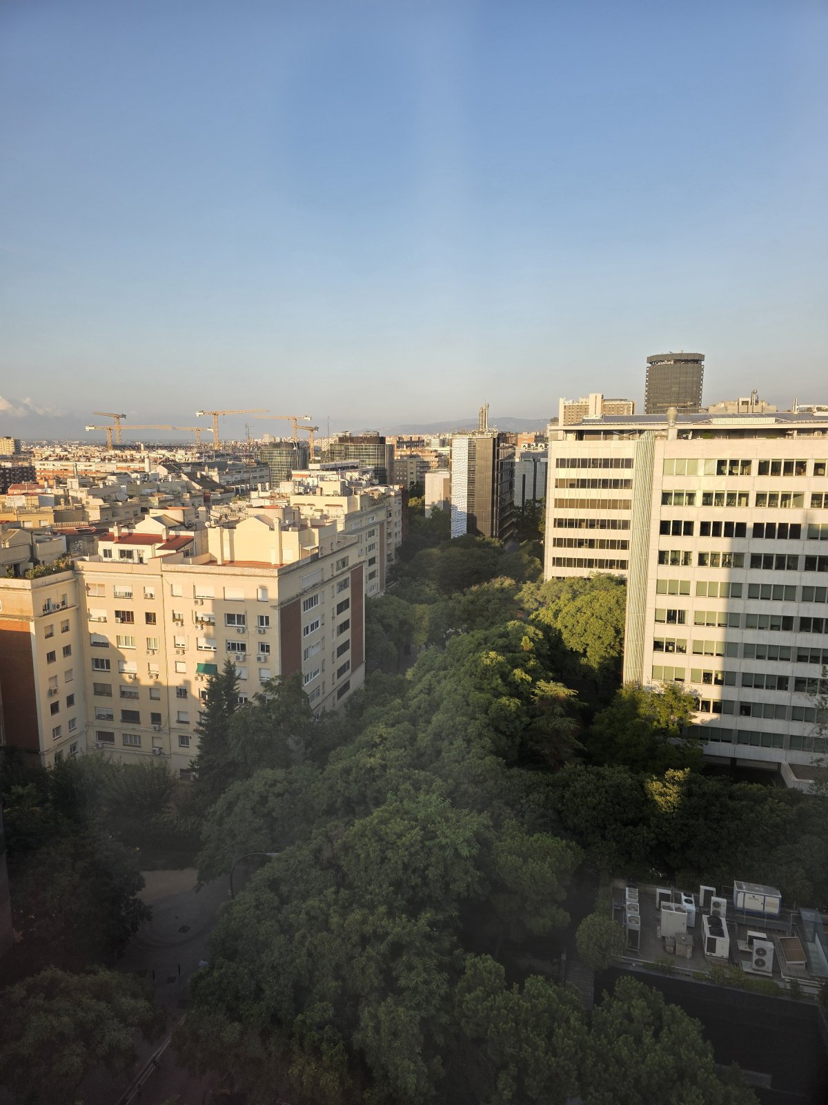 20250823_080458.jpg