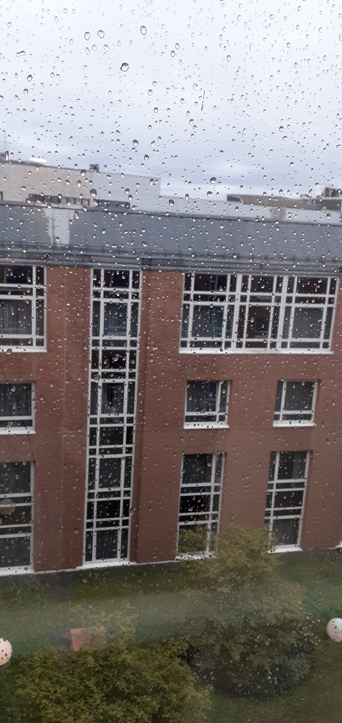20250902_082630.jpg