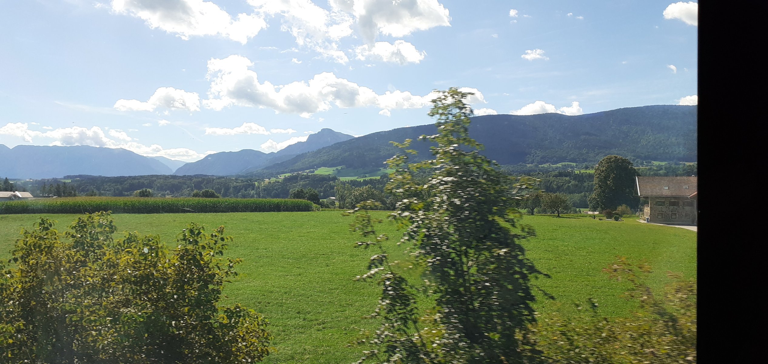 20250903_112511.jpg