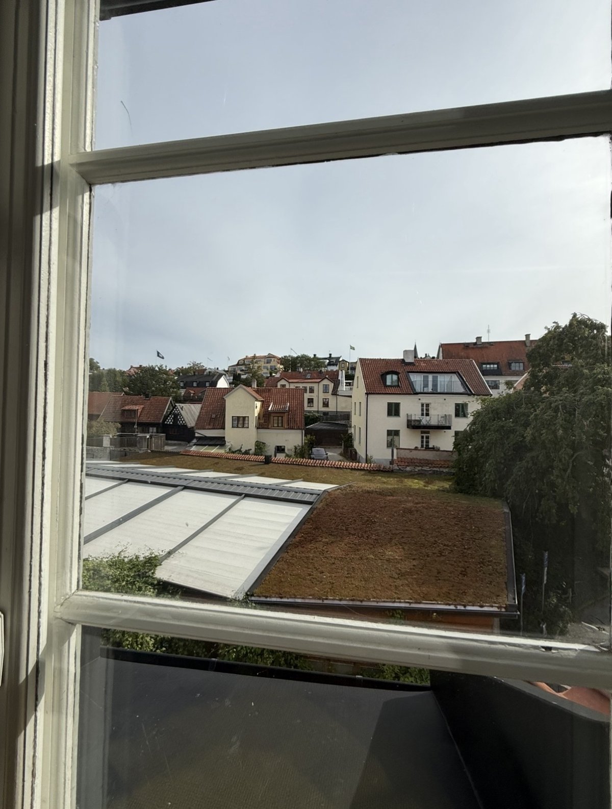 IMG_9245.jpeg