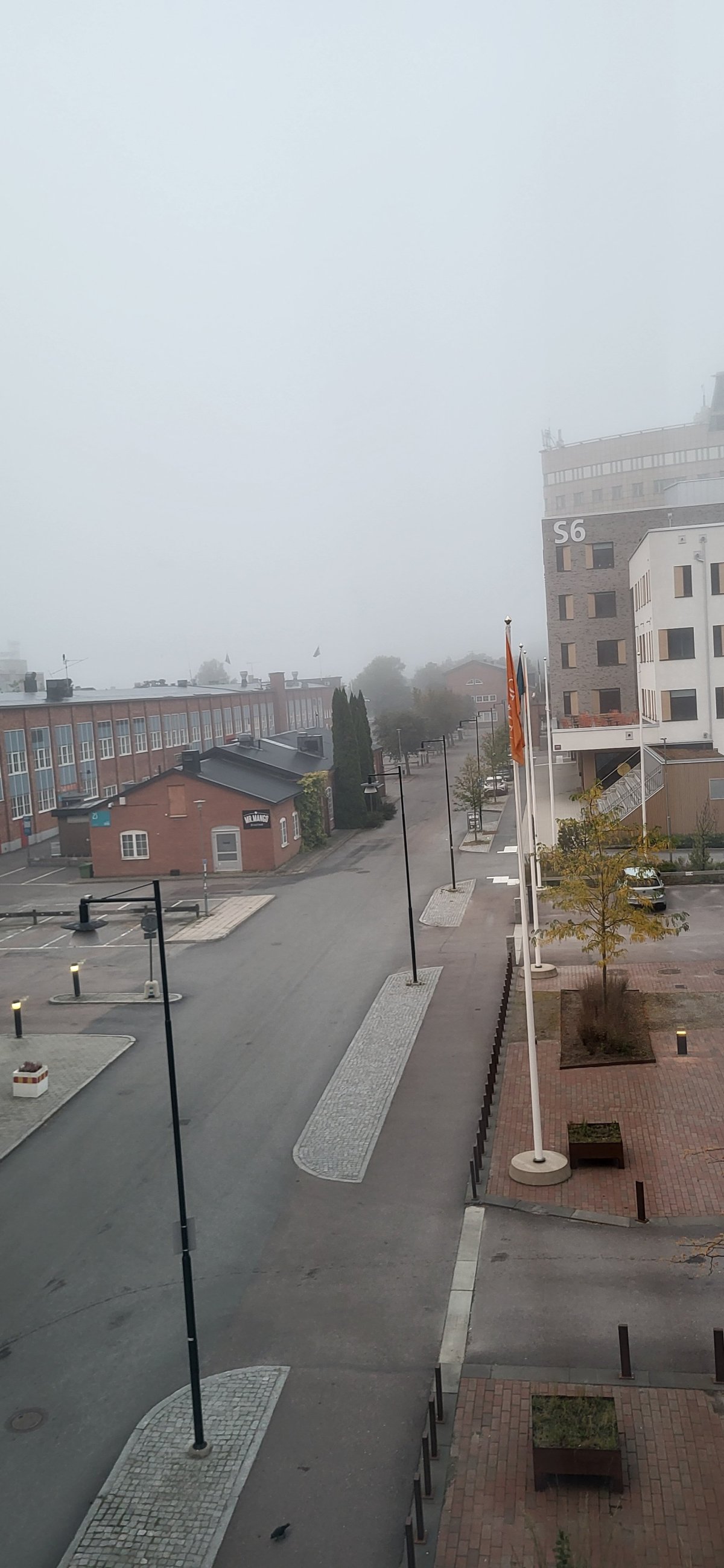 20250928_071641.jpg