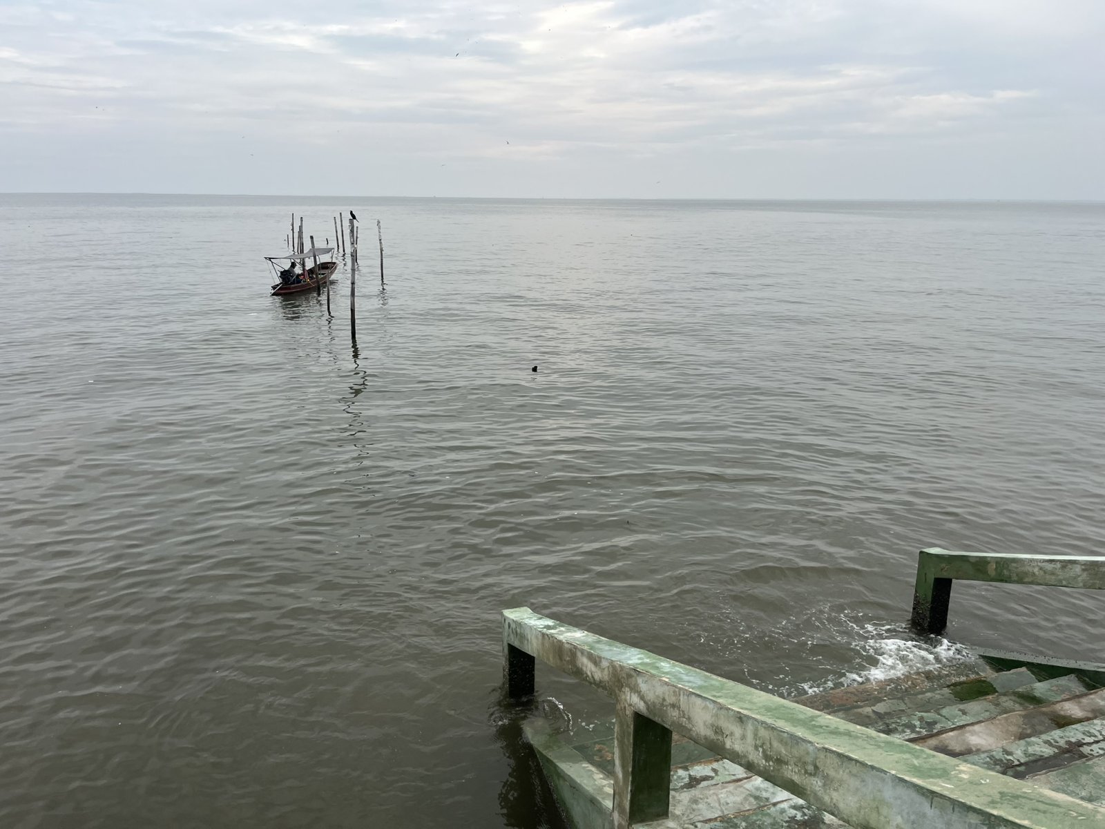 IMG_7098.JPEG