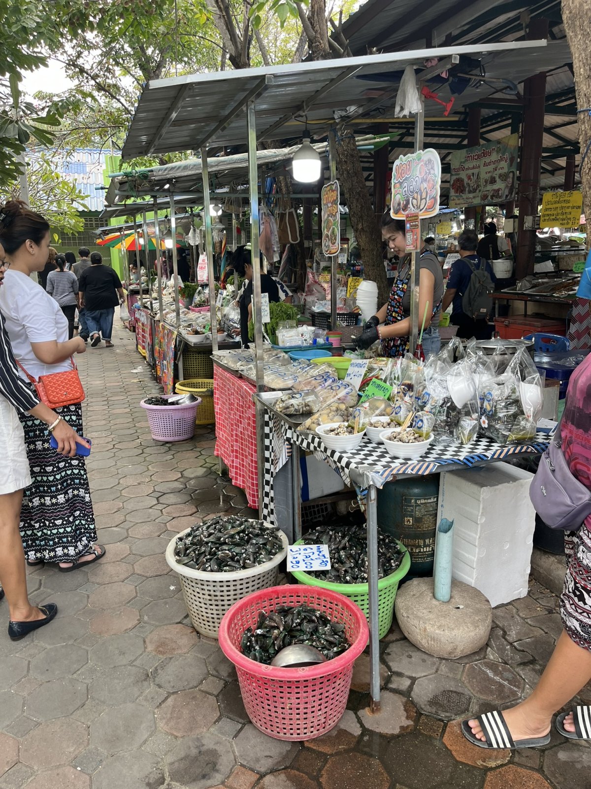 IMG_7099.JPEG