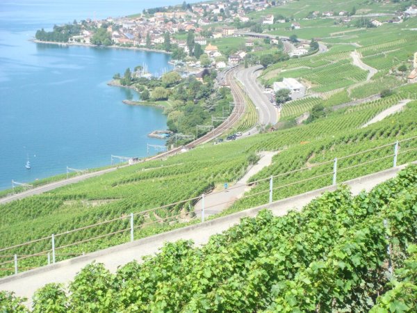 Lavaux.jpg