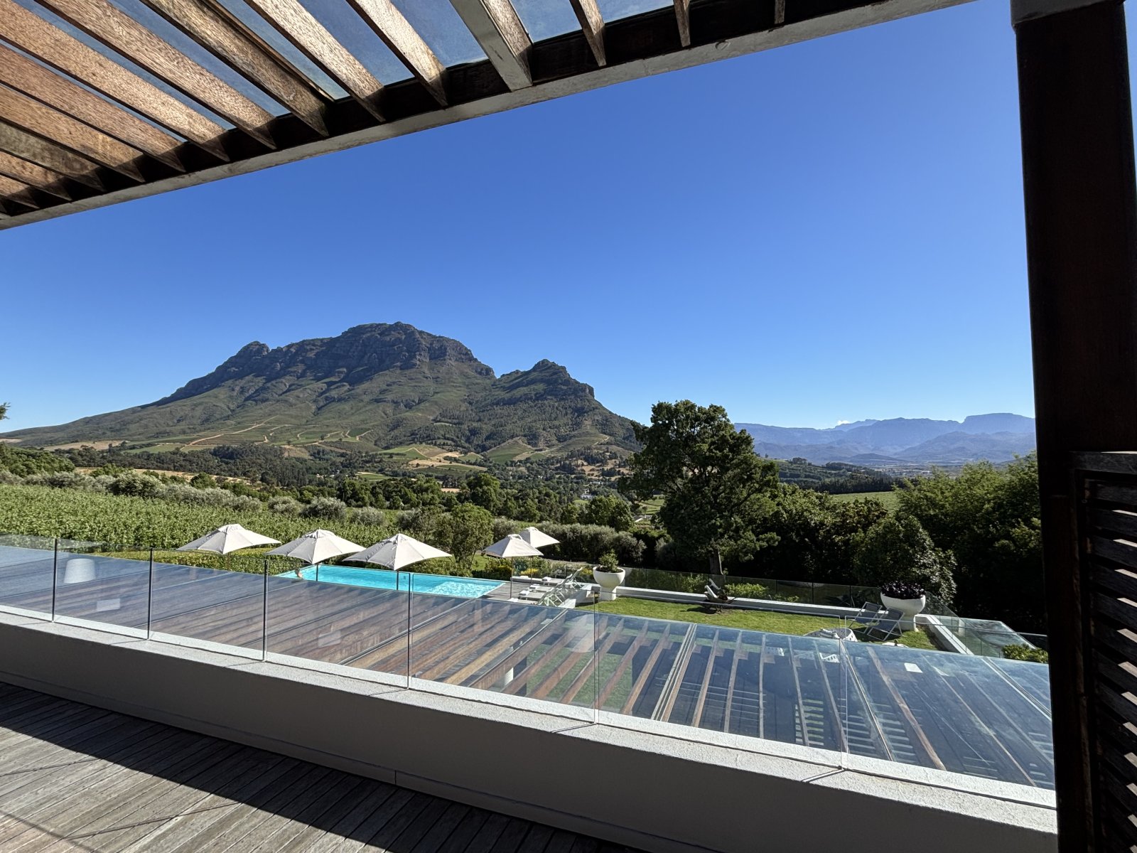 IMG_0235.jpeg IMG_0235.jpeg