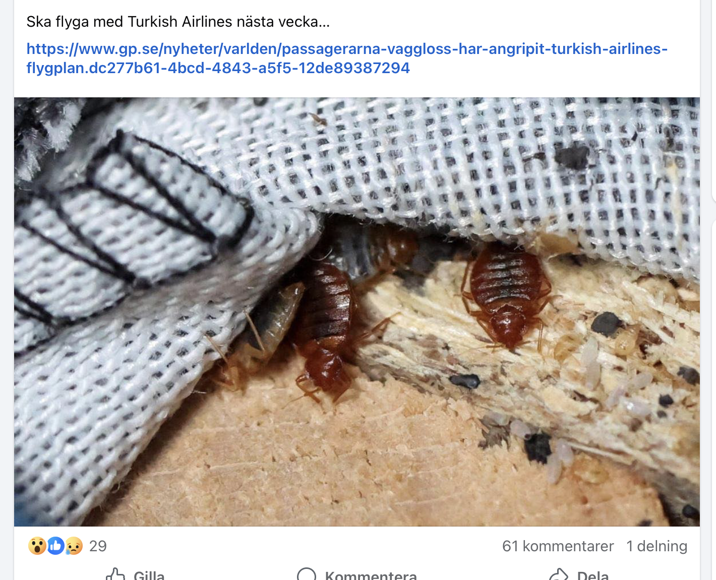 Skärmavbild 2026-01-11 kl. 11.26.05.png Skärmavbild 2026-01-11 kl. 11.26.05.png