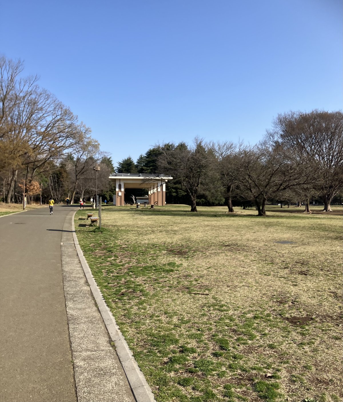 IMG_2174.jpeg