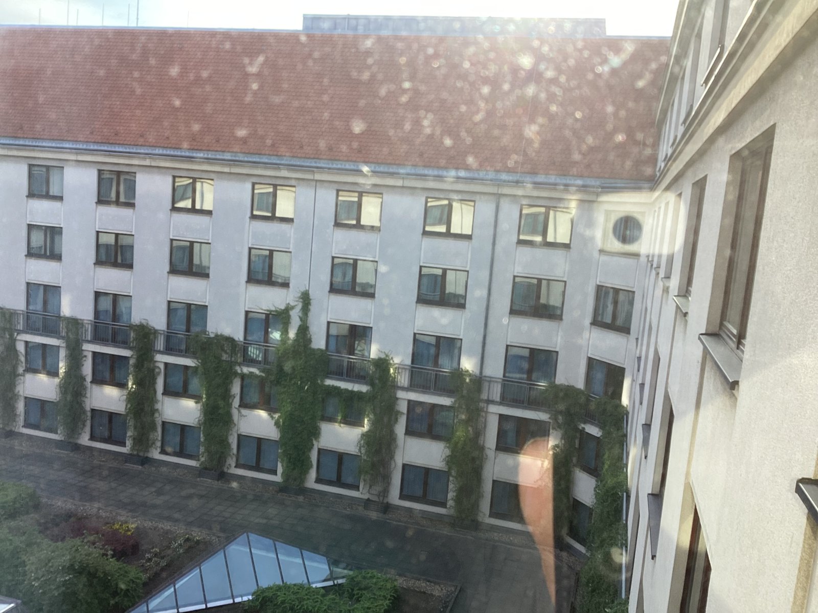 IMG_3663.jpeg