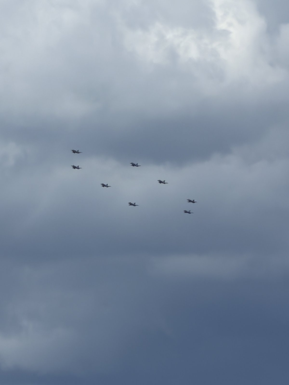 IMG_3421.jpeg