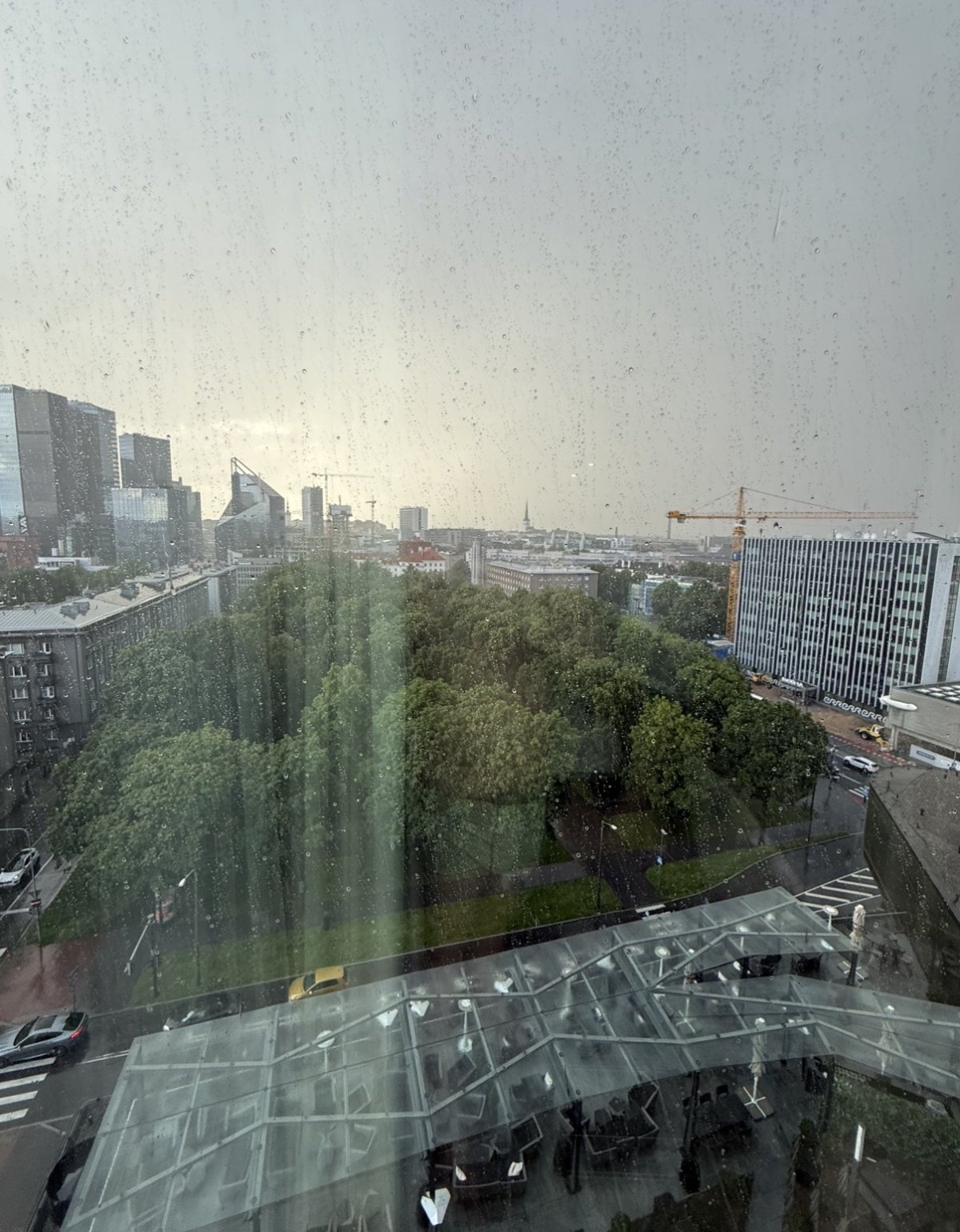 IMG_3016.jpeg