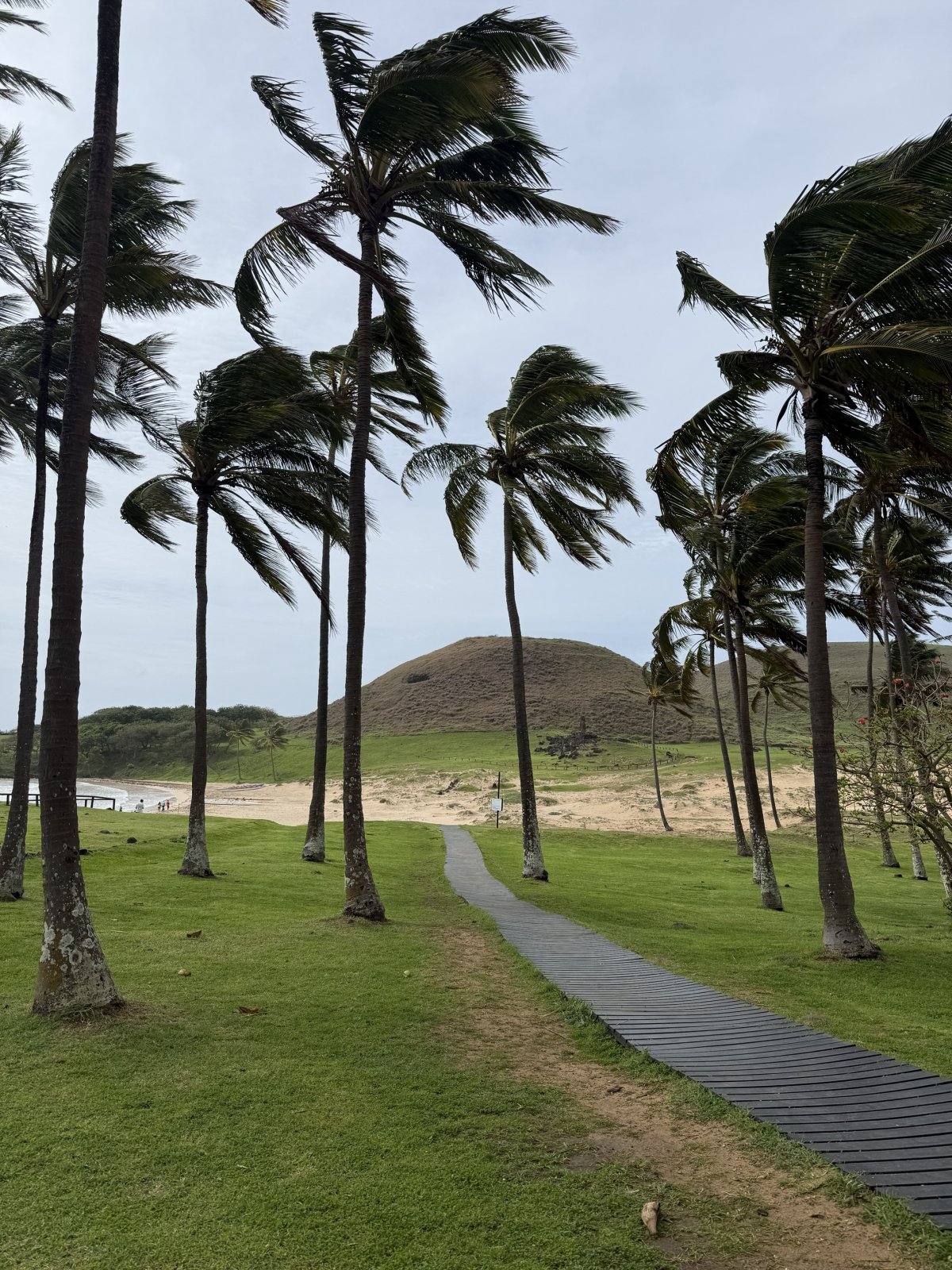 anakena.jpg