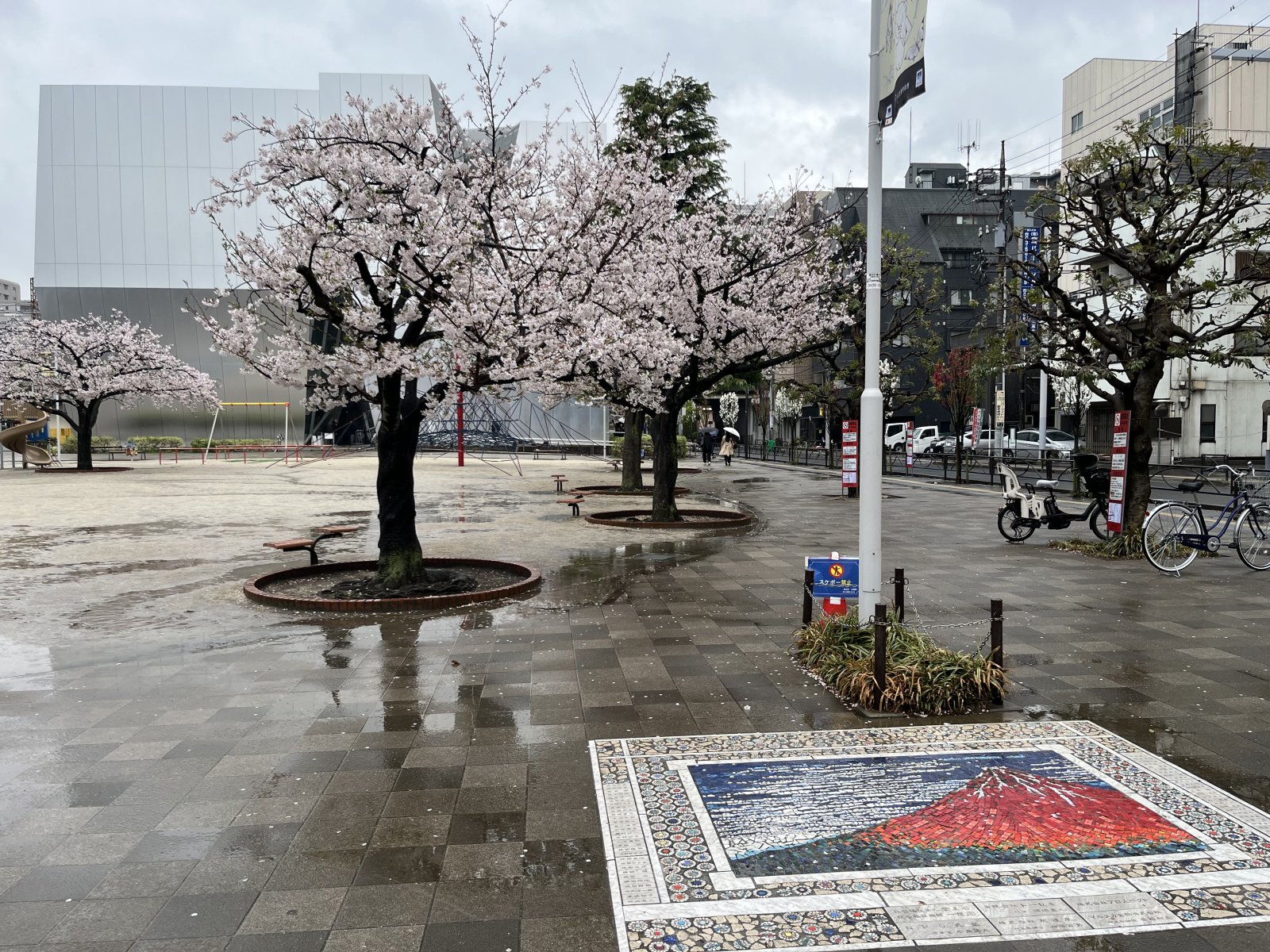IMG_7954.jpeg