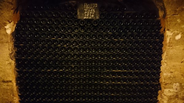 DSC_0176.JPG