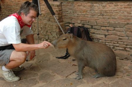 _capybara.jpeg
