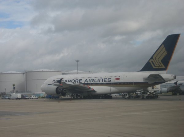 IMG_5905.jpg IMG_5905.jpg