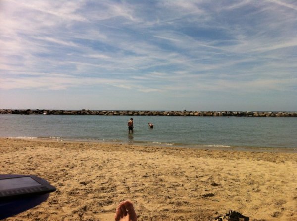 IMG_0353.jpg IMG_0353.jpg