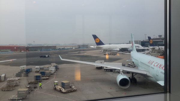 20150314_084652.jpg