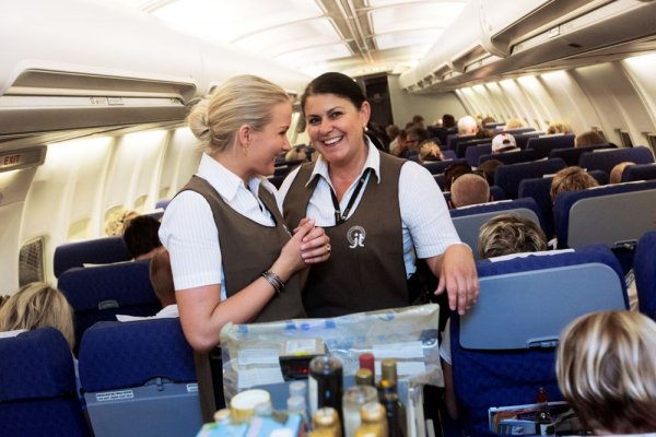 Cabin Crew.jpg Cabin Crew.jpg