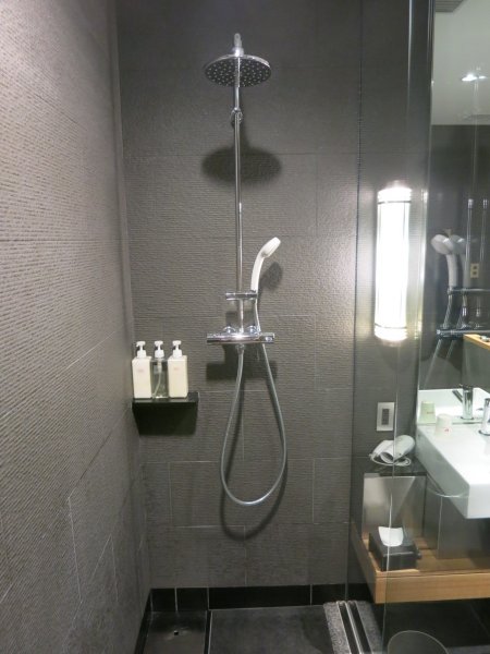 JAL Sky View Lounge utrikes, Tokyo Haneda - 04 dusch, 04.JPG JAL Sky View Lounge utrikes, Tokyo Haneda - 04 dusch, 04.JPG