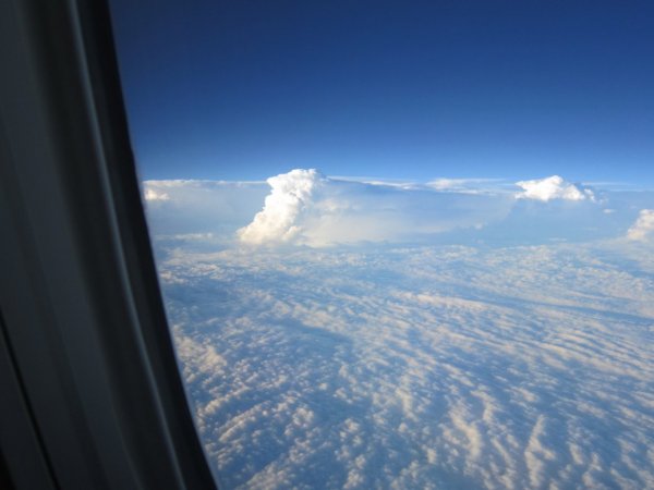 IMG_0782.jpg IMG_0782.jpg