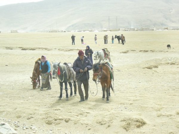Tibetansk åsnataxi.jpg