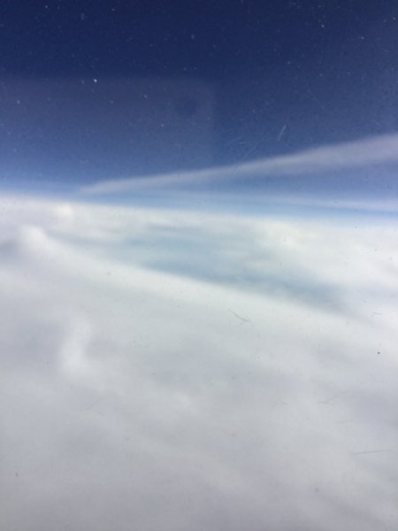 image.jpeg