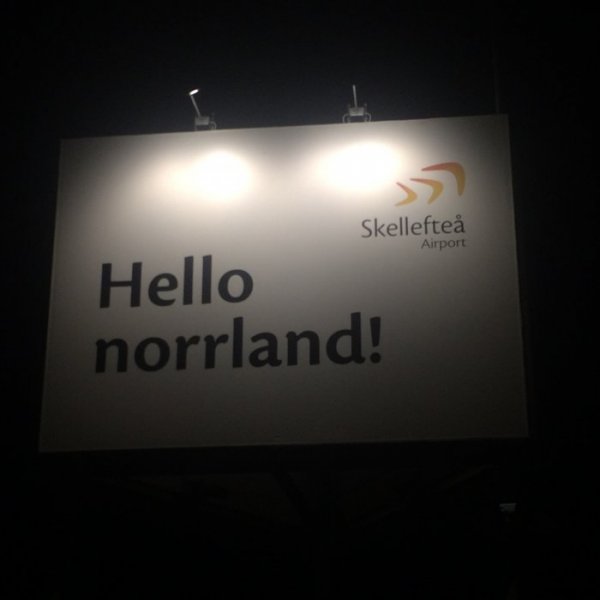 17.JPG 17.JPG