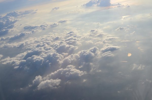 DSC_3415.JPG