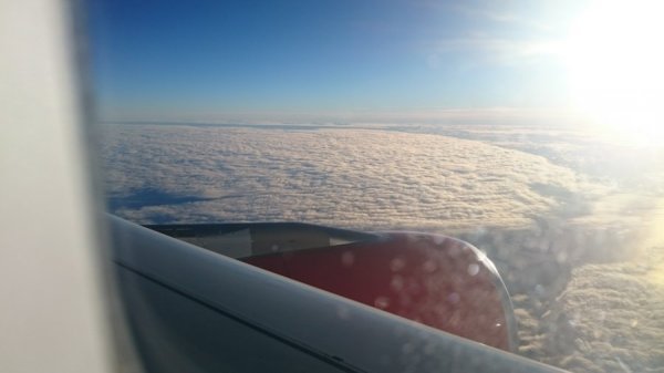 DSC_1566.JPG