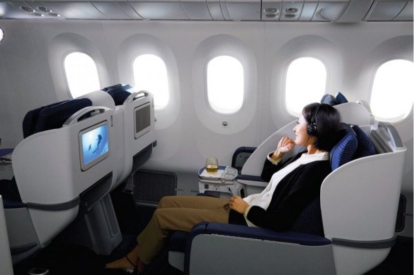 ANA BUSINESS CRADLE.jpg ANA BUSINESS CRADLE.jpg