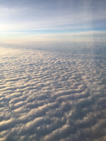 IMG_8545.JPG IMG_8545.JPG