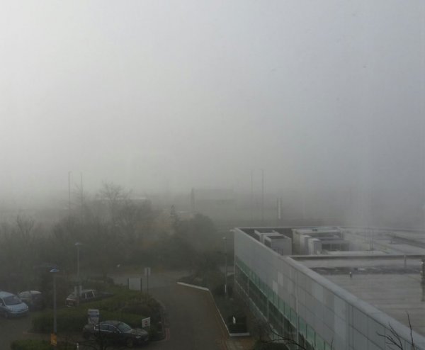 20160311_084055-1.jpg