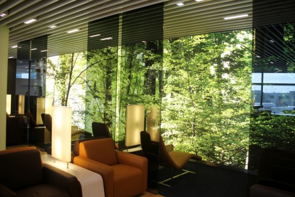 IMG_7103.jpg IMG_7103.jpg