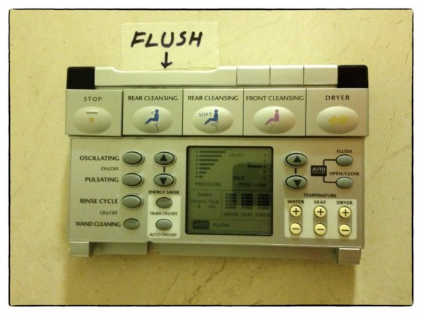 flush.jpg