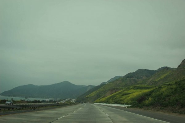 IMG_2497.jpg IMG_2497.jpg