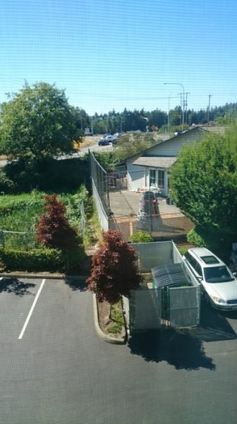 DSC_2671.JPG
