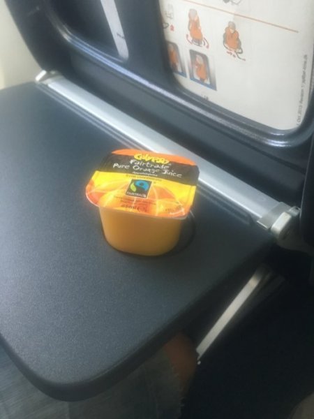 image.jpeg