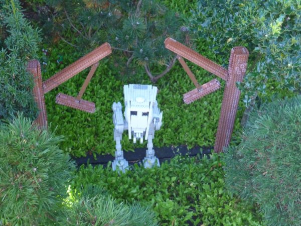 image.jpeg