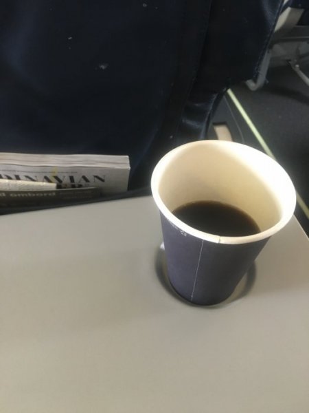 image.jpeg