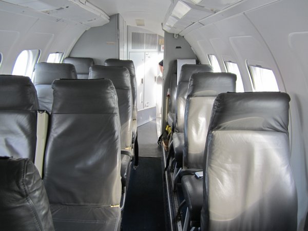 Avies_HFS-ARN.jpg Avies_HFS-ARN.jpg