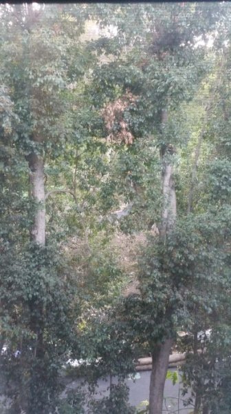 20161031_164944.jpg