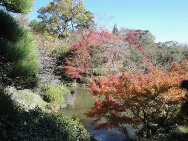 garden4.jpg
