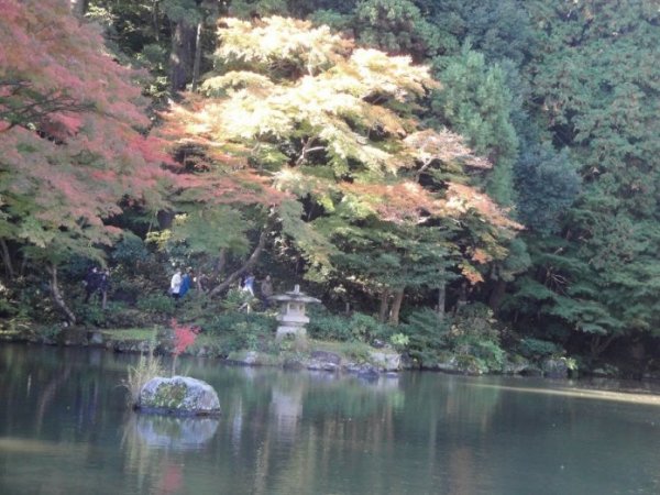 garden2.jpg