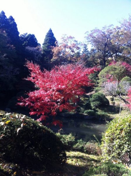 autumn.jpg