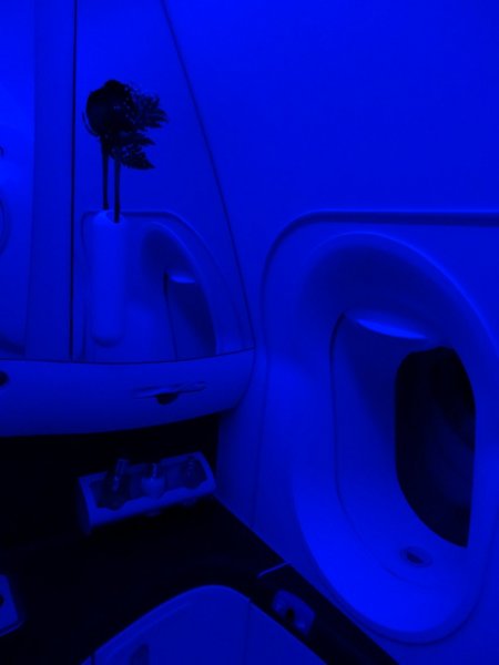 DSC01438.jpg DSC01438.jpg