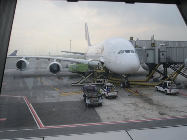 IMG_2011.jpg IMG_2011.jpg